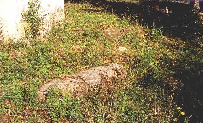 The columns from the sanctuary partition of the Byzantine basilica